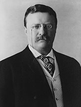 Theodore Roosevelt, ca. 1904 (Pach Brothers - United States Library of Congress's Prints and Photographs division)